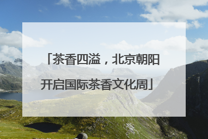 茶香四溢，北京朝阳开启国际茶香文化周