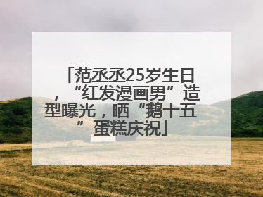 范丞丞25岁生日，“红发漫画男”造型曝光，晒“鹅十五”蛋糕庆祝