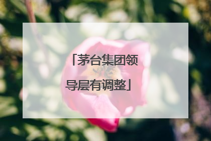 茅台集团领导层有调整