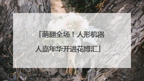 萌翻全场！人形机器人嘉年华开进花博汇