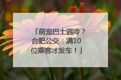 萌宠巴士遇冷？合肥公交：满10位乘客才发车！