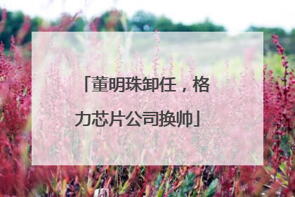 董明珠卸任，格力芯片公司换帅