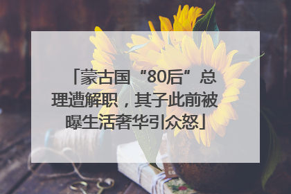 蒙古国“80后”总理遭解职，其子此前被曝生活奢华引众怒