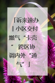 诉来速办丨小区交付燃气“卡壳” 跨区协调内外“通气”