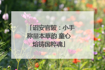 诏安官陂：小手称量本草韵 童心熔铸国粹魂