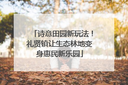 诗意田园新玩法！礼贤镇让生态林地变身惠民新乐园