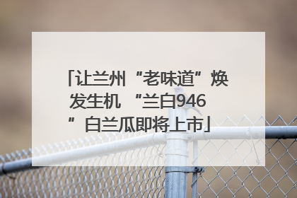 让兰州“老味道”焕发生机 “兰白946”白兰瓜即将上市