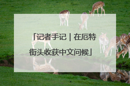记者手记｜在厄特街头收获中文问候