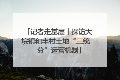 记者走基层丨探访大垸镇和丰村土地“三统一分”运营机制