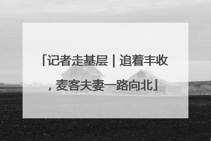 记者走基层｜追着丰收，麦客夫妻一路向北