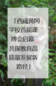 西咸黄冈学校首届课博会启幕 共探教育高质量发展新路径