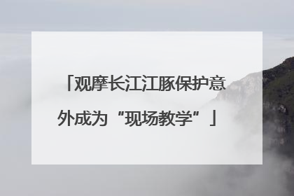 观摩长江江豚保护意外成为“现场教学”
