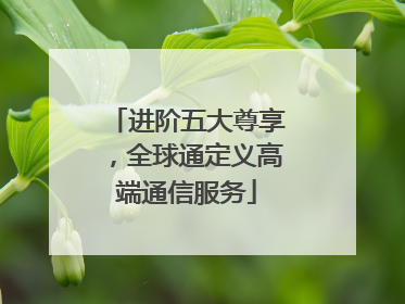 进阶五大尊享，全球通定义高端通信服务