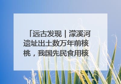远古发现｜濛溪河遗址出土数万年前核桃，我国先民食用核桃历史大幅提前