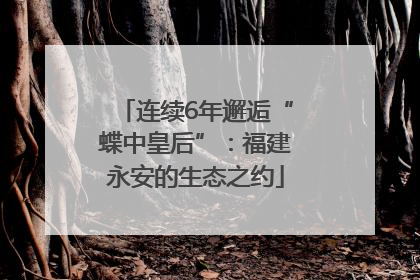连续6年邂逅“蝶中皇后”：福建永安的生态之约