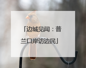边城见闻：普兰口岸访边民