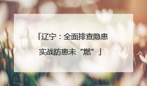 辽宁：全面排查隐患 实战防患未“燃”