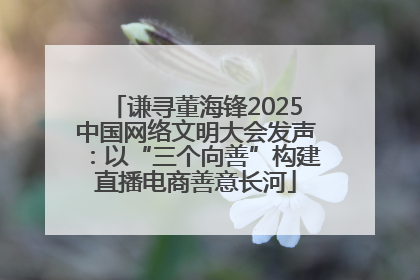 谦寻董海锋2025中国网络文明大会发声：以“三个向善”构建直播电商善意长河