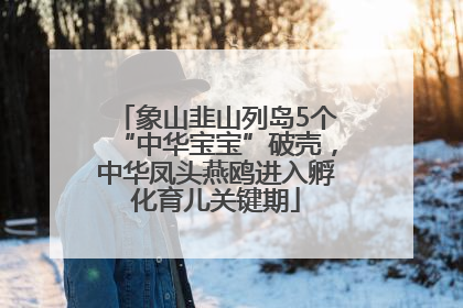 象山韭山列岛5个“中华宝宝”破壳，中华凤头燕鸥进入孵化育儿关键期
