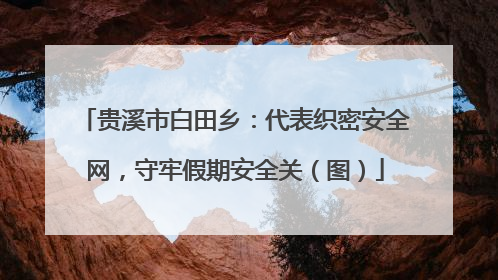 贵溪市白田乡：代表织密安全网，守牢假期安全关（图）
