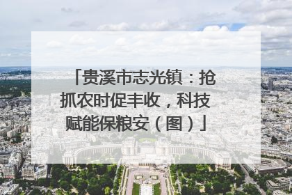 贵溪市志光镇：抢抓农时促丰收，科技赋能保粮安（图）