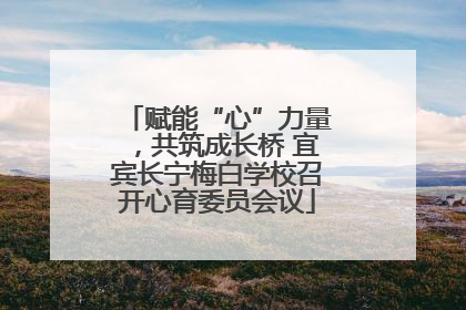 赋能“心”力量，共筑成长桥 宜宾长宁梅白学校召开心育委员会议