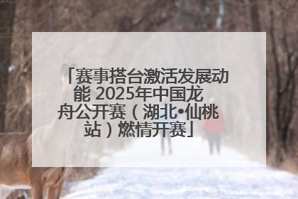 赛事搭台激活发展动能 2025年中国龙舟公开赛（湖北•仙桃站）燃情开赛