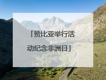赞比亚举行活动纪念非洲日