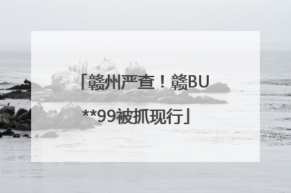 赣州严查！赣BU**99被抓现行