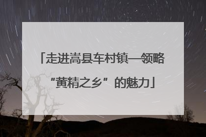 走进嵩县车村镇—领略“黄精之乡”的魅力
