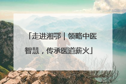 走进湘鄂｜领略中医智慧，传承医道薪火