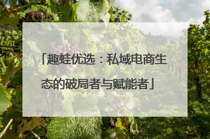 趣蛙优选：私域电商生态的破局者与赋能者
