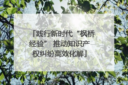 践行新时代“枫桥经验” 推动知识产权纠纷高效化解
