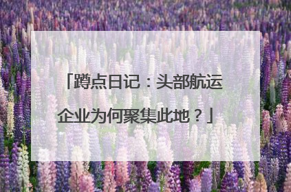 蹲点日记：头部航运企业为何聚集此地？