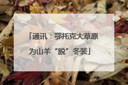 通讯：鄂托克大草原为山羊“脱”冬装