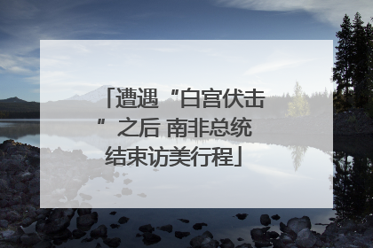 遭遇“白宫伏击”之后 南非总统结束访美行程
