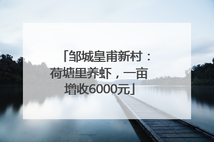 邹城皇甫新村：荷塘里养虾，一亩增收6000元