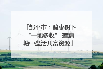 邹平市：酸枣树下“一地多收” 莲藕塘中盘活共富资源