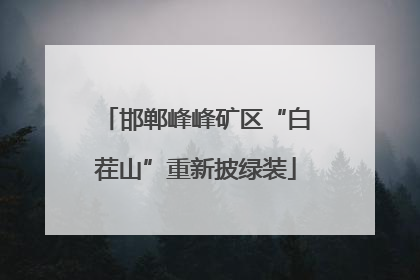 邯郸峰峰矿区“白茬山”重新披绿装
