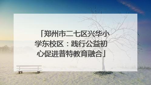 郑州市二七区兴华小学东校区：践行公益初心促进普特教育融合