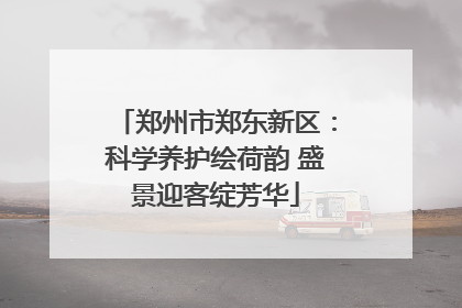 郑州市郑东新区：科学养护绘荷韵 盛景迎客绽芳华