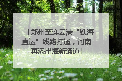 郑州至连云港“铁海直运”线路打通，河南再添出海新通道