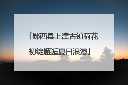 郧西县上津古镇荷花初绽邂逅夏日浪漫