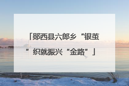 郧西县六郎乡“银茧”织就振兴“金路”