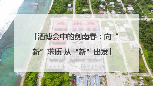 酒博会中的剑南春：向“新”求质 从“新”出发
