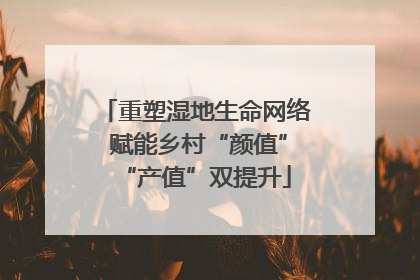 重塑湿地生命网络 赋能乡村“颜值”“产值”双提升