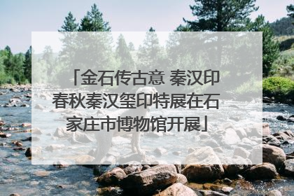 金石传古意 秦汉印春秋秦汉玺印特展在石家庄市博物馆开展