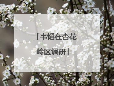 韦韬在杏花岭区调研