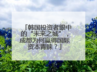韩国投资者眼中的“未来之城”，成都为何赢得国际资本青睐？