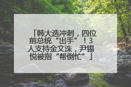韩大选冲刺，四位前总统“出手”！3人支持金文洙，尹锡悦被指“帮倒忙”